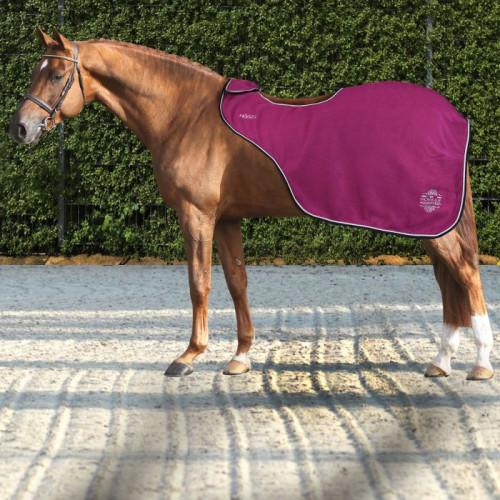 Horses Artemisia Fleece Exercise Rug
