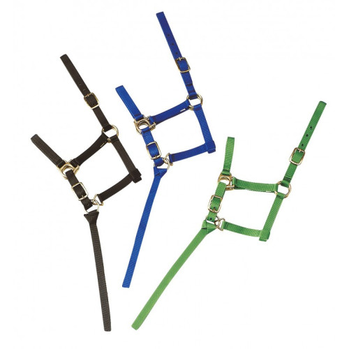 Capastru de manz + lesa 