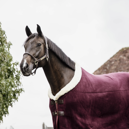 Patura concurs  Kentucky Fleece  Heavy