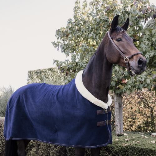 Patura concurs  Kentucky Fleece  Heavy