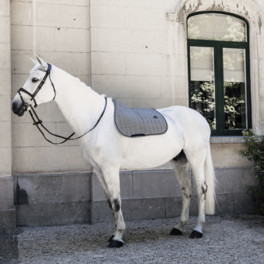 Kentucky Valtrap  Pied-de-Poule