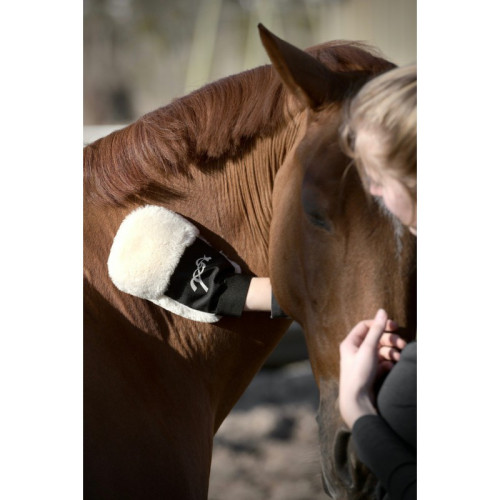 PENELOPE GOMING GLOME