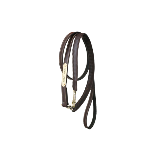 Lese Acoperita  Cu Piele  Kentucky