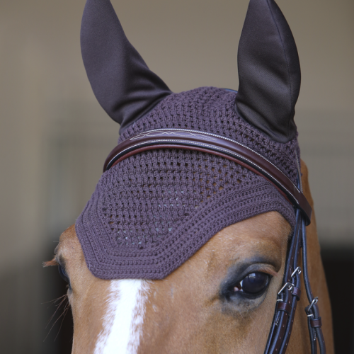 Capison fara sunet Kentucky Wellington