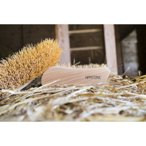 PERIE DANDY HIPPOTONIC MEXICAN WHISK