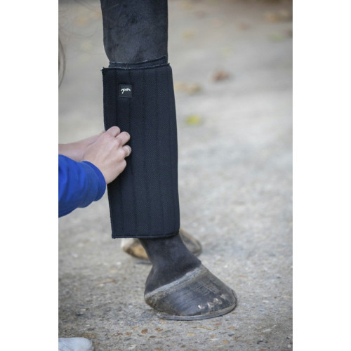 Moltoane   Soft PENELOPE 