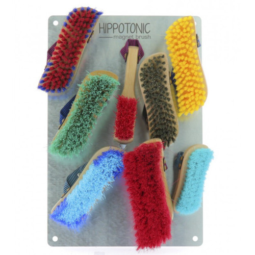 PLACA HIPOTONIC „PERIE CU MAGNET”.