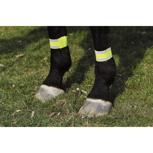 Bandaje reflectorizante NORTON