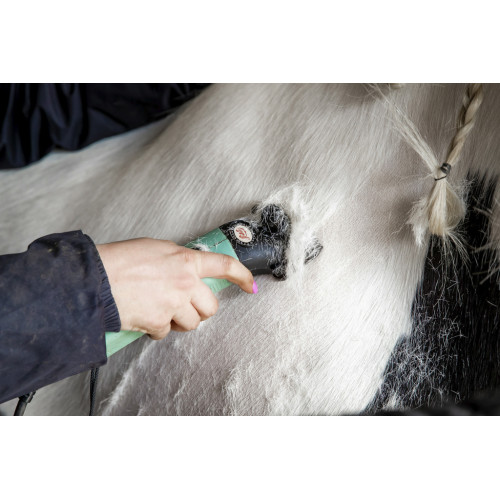 Lister „Star” Clippers