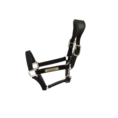 Capastru din nailon anatomic Kentucky