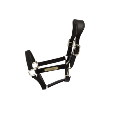 Capastru din nailon anatomic Kentucky