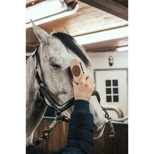 Perie pentru cap Borstiq