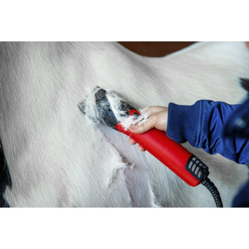 Lister "Fusion" Clippers