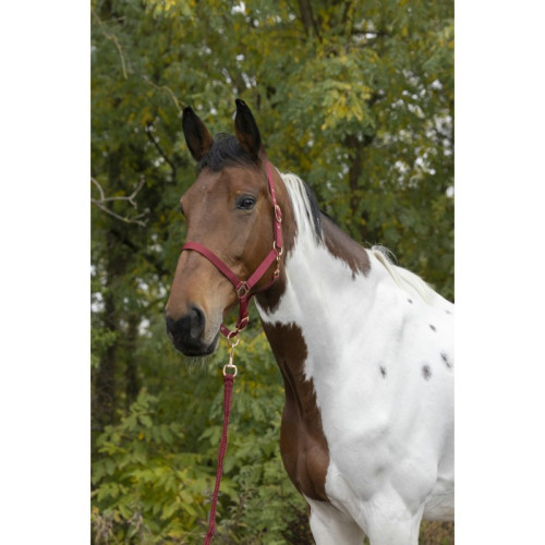 Capastru cu lesa si carabina din aur roz 