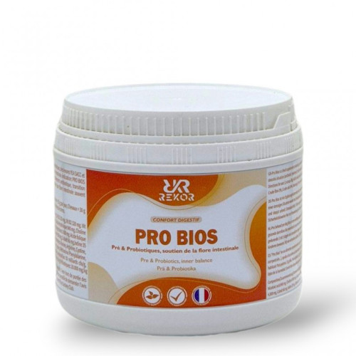 Supliment pentru digestie Pro Bios Rekor 