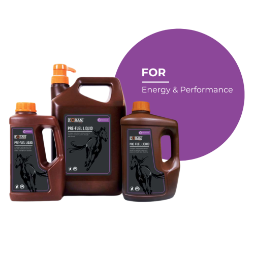 Foran Pre-Fuel