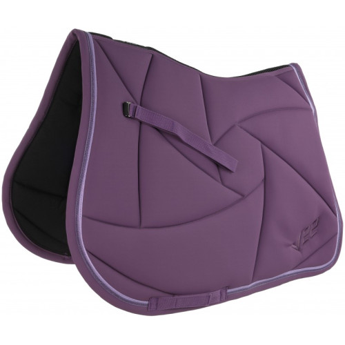 Valtrap LamiCell V22 Picasso 