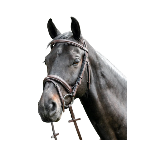 Frâu triplu ridicat din piele