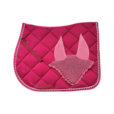 Saddle pad + Regent headset