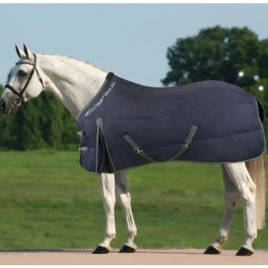 Patura de grajd Leda  200g Horses 