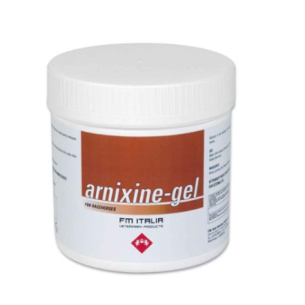 Arnixie Gel FM Italia 