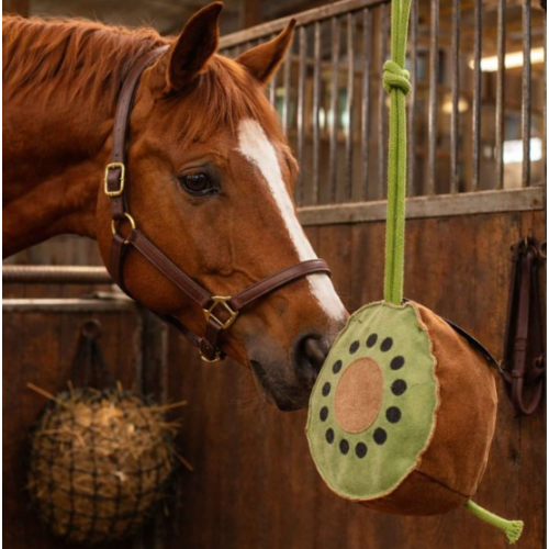 Jucarie In Forma De Kiwi Horses 