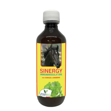 Sinergy 