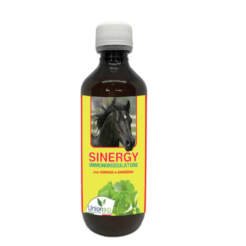 Sinergy 